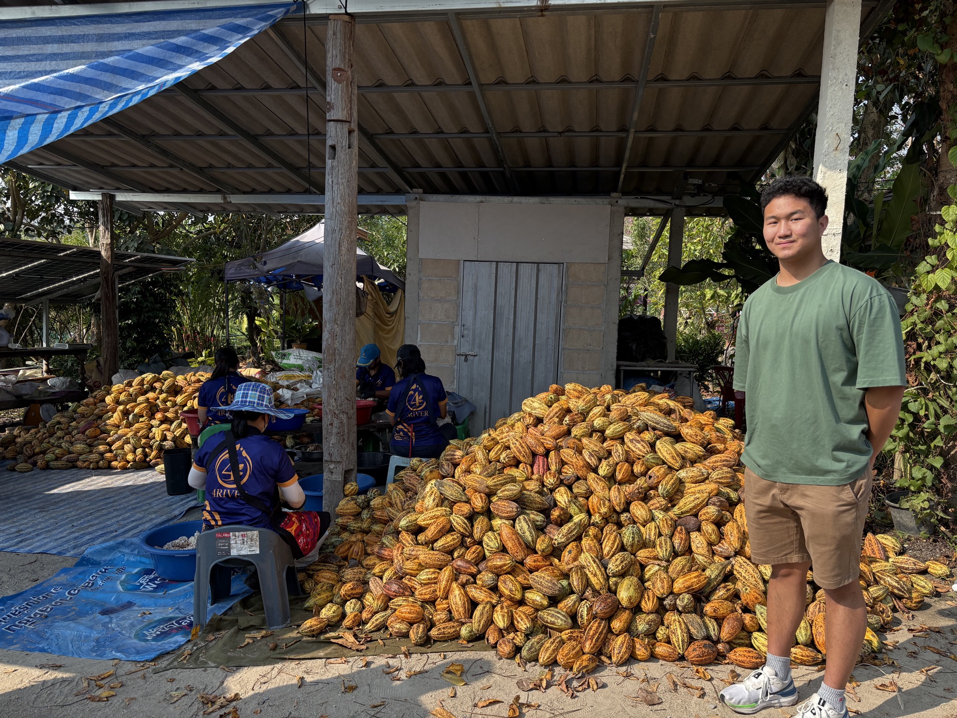 Naravid Tejavanija — Cacao farm, Lampang